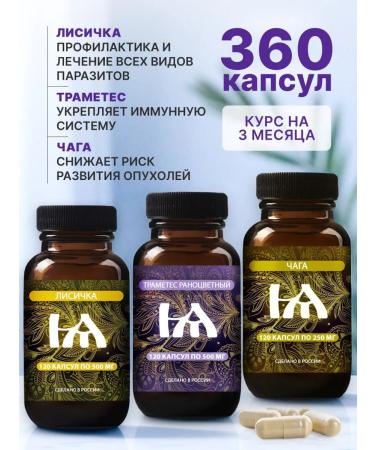 Hedgehog Fox chaga is birch natural trametes