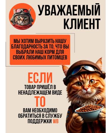 Long-Eared Pilot Cat food dry with beef 2 kg - Buy Online on GoSupps.com