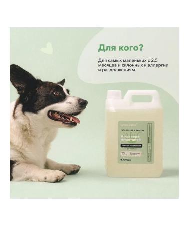 LISSILANDIA Hypoallergenic shampoo 5l for dogs cats - Buy Online on GoSupps.com