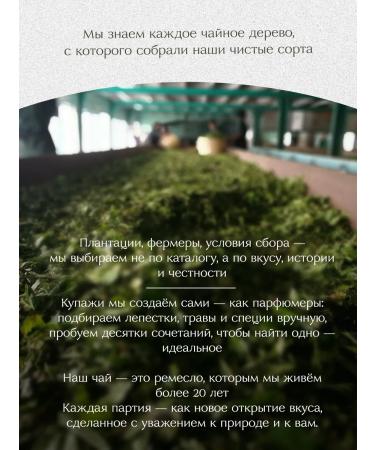 Magic tea by Elina Star Sencha Satsuma Green Tea - Buy Online on GoSupps.com