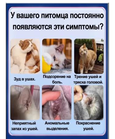 Lotion for the ears of cats and dogs 60ml - Buy Online on GoSupps.com