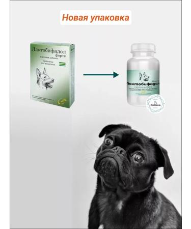 COMPONENT Lactobiphael Forte Prebiotic for dogs 50 g - Buy Online on GoSupps.com