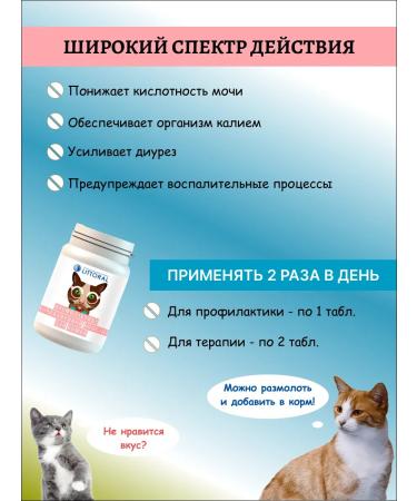 Littoral Littor vitamins prevention of ICD for cats 80 table - Buy Online on GoSupps.com