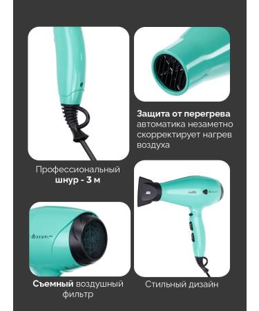 Dewal Hair hair dryer Professional Power Pro - Buy Online on GoSupps.com