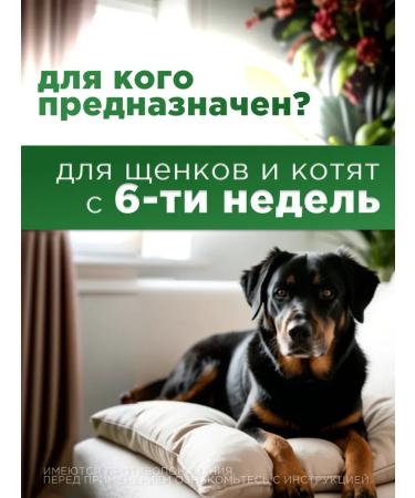 KRKA Sealess for dogs weighing from 5.1 to 10 kg - Buy Online on GoSupps.com