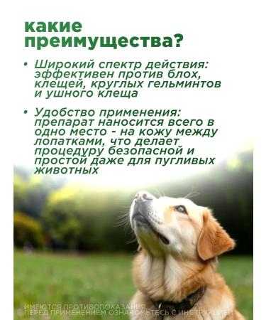 KRKA Sealess for cats weighing from 2.6 to 7.5 kg - Buy Online on GoSupps.com