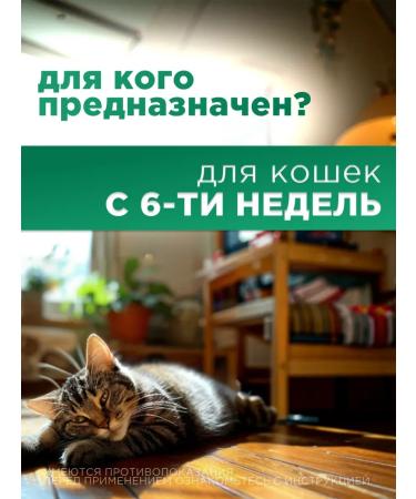 KRKA Sealess for cats weighing from 2.6 to 7.5 kg - Buy Online on GoSupps.com