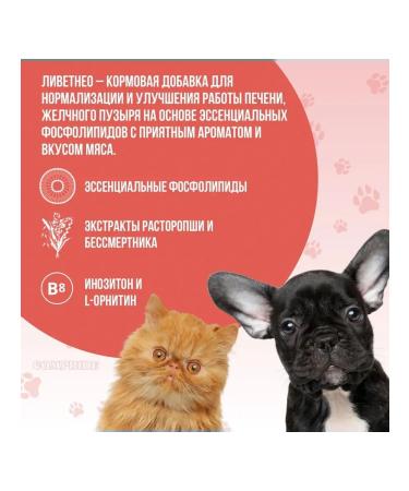 Neoterica Feed additive Livetne for cats and small dogs 50 ml - Buy Online on GoSupps.com