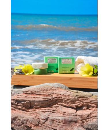 Efe Larome Set of hard shampoo and air conditioning for oily hair - Buy Online on GoSupps.com