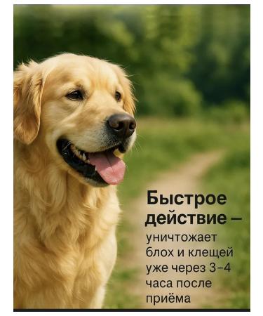Zoetis Simeparika for dogs 2.5-5 kg - Buy Online on GoSupps.com
