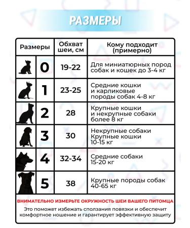 Bandage collar on the neck for cats is soft - Buy Online on GoSupps.com