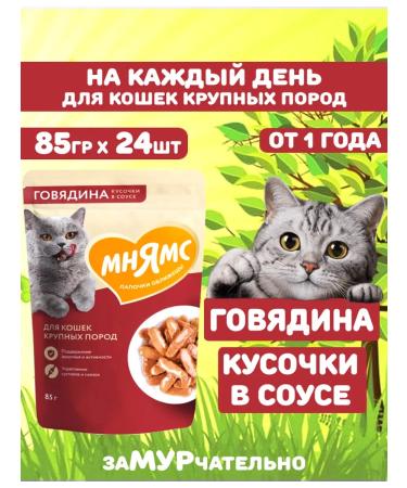 Mnyams Wet feed for cats of large beef 85 g 24 pcs