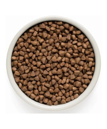 Grandorf Dry Lamb & Turkey cat food with lamb 2kg - Buy Online on GoSupps.com