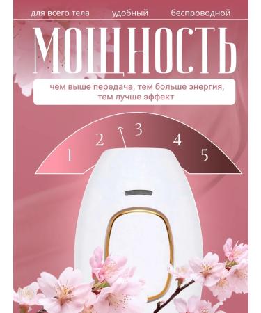 KISHI KAISEI Class removal photoepator - Buy Online on GoSupps.com