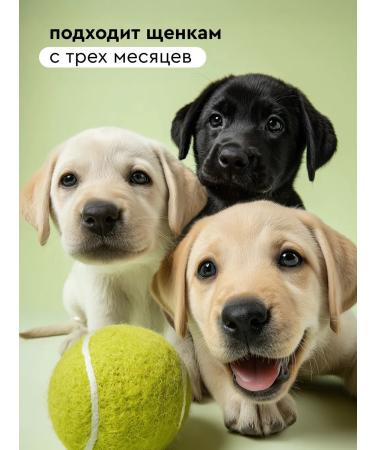 Pamilee Vitamins for dogs with seaweed - Buy Online on GoSupps.com