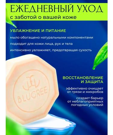 BLUGREE 3 pieces of solid grenade soap+argan+soap with donkey milk - Buy Online on GoSupps.com
