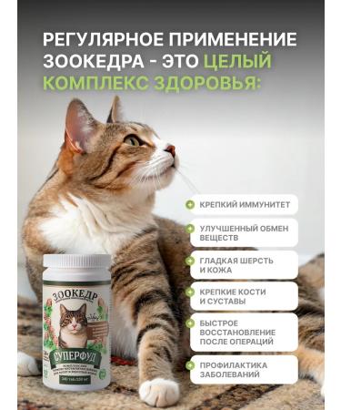 Zoocedr Natural vitamins for catfood cats - Buy Online on GoSupps.com