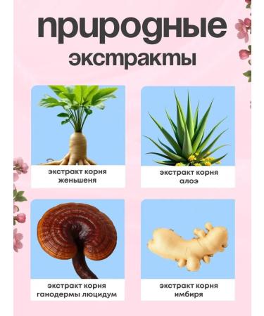 BIGGERBOWIE Paint - shampoo for hair tinted 1 pcs - Buy Online on GoSupps.com