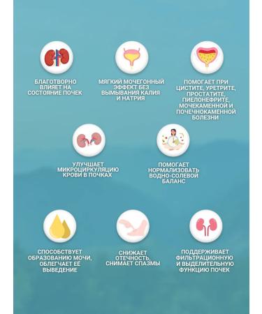 bee and man Collection for kidney health - Buy Online on GoSupps.com