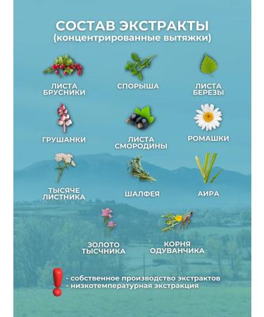 bee and man Collection for kidney health - Buy Online on GoSupps.com