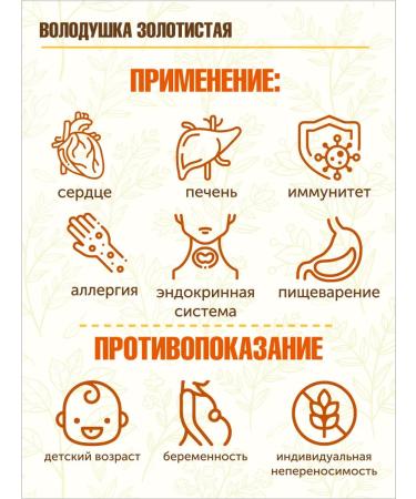 STAROSLAV Volodushka golden (grass 100g.) - Buy Online on GoSupps.com