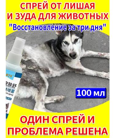 Spray from cutting lichen for cats and dogs 300 ml