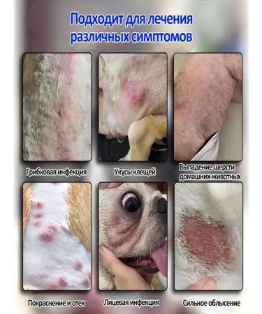 Spray from cutting lichen for cats and dogs 300 ml - Buy Online on GoSupps.com