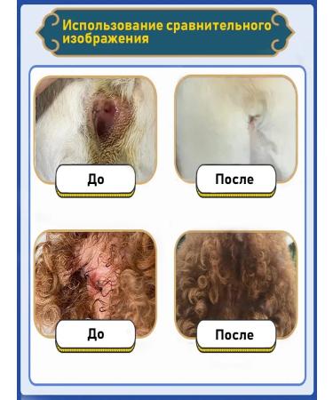 Spray from cutting lichen for cats and dogs 300 ml - Buy Online on GoSupps.com