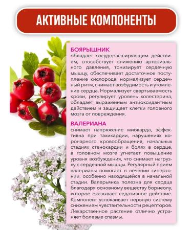 Batel Cardiovascular syrup 100 ml - Buy Online on GoSupps.com