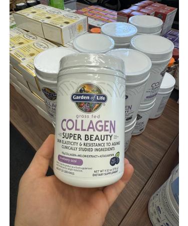 Garden of Life Collagen Super Beauty Blueberries and Asai 270 g - Buy Online on GoSupps.com