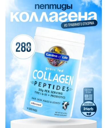 Garden of Life Collagen without taste 280 g