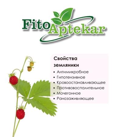 PHYTOAPTHECARIAN Strawberry sheet 250 g - Buy Online on GoSupps.com