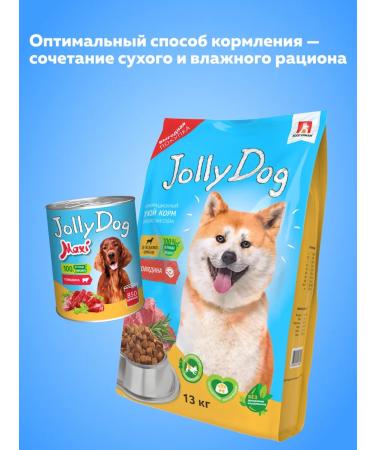 ZOOGOURMAN Dry food for dogs Jolly Dog Beef 13 kg - Buy Online on GoSupps.com