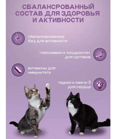 Cosmocat Dry cat food for sterilized 0.8 kg with lamb - Buy Online on GoSupps.com