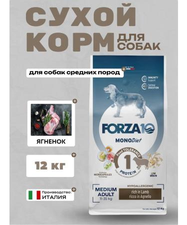 Forza10 Dry food for dogs of medium breeds with lamb 12kg