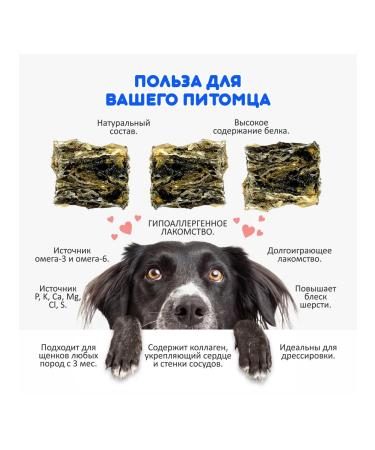 Happy Dog Atlantic cod leather goodies - Buy Online on GoSupps.com