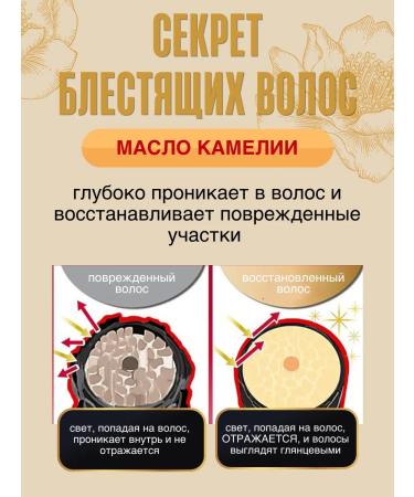 TSUBAKI Shampoo and hair conditioner Volume & Repair set - Buy Online on GoSupps.com