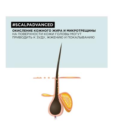 L'Oreal Professionnel SCALP Advanced shampoo regulatory - Buy Online on GoSupps.com
