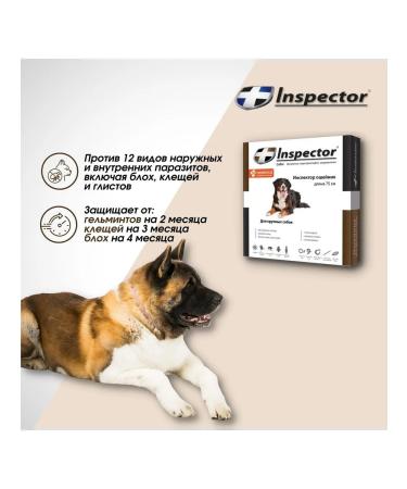 Neoterica Collar for large dogs from parasites 75 cm - Buy Online on GoSupps.com