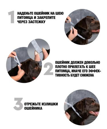 Neoterica Collar for dogs of large breeds from fleas and ticks 75 cm - Buy Online on GoSupps.com