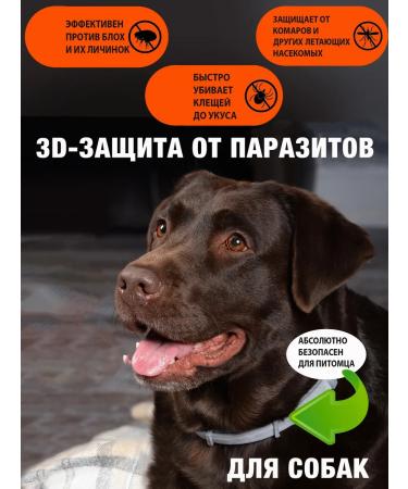 Neoterica Collar for dogs of large breeds from fleas and ticks 75 cm - Buy Online on GoSupps.com