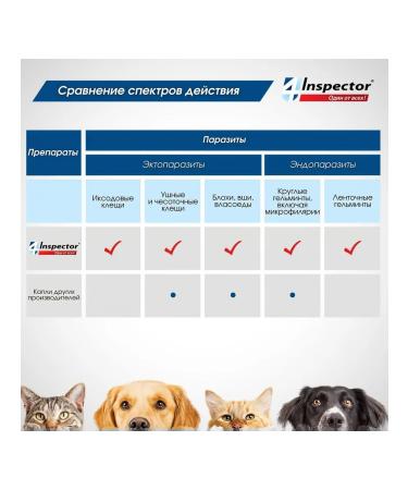 Neoterica Quadro Dog drops 10-25 kg from fleas ticks and helminths - Buy Online on GoSupps.com
