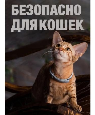 Neoterica Collar for cats from fleas and ticks 40 cm - Buy Online on GoSupps.com