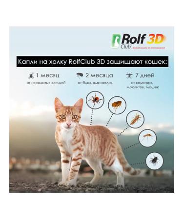Neoterica Drops for cats  - Buy Online on GoSupps.com