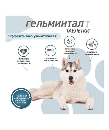 Neoterica Dog tablets of more than 10 kg from helminths 2 tab - Buy Online on GoSupps.com