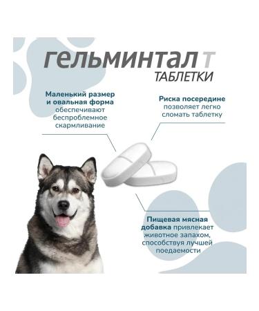 Neoterica Dog tablets of more than 10 kg from helminths 2 tab - Buy Online on GoSupps.com