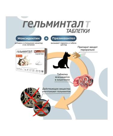 Neoterica Dog tablets of more than 10 kg from helminths 2 tab - Buy Online on GoSupps.com