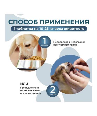 Neoterica Dog tablets of more than 10 kg from helminths 2 tab - Buy Online on GoSupps.com