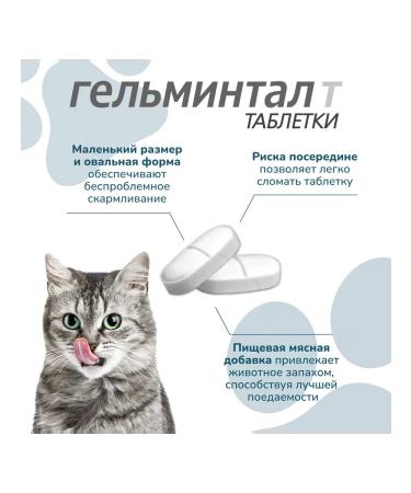 Neoterica Cat tablets of more than 4 kg from helminths 2 tab - Buy Online on GoSupps.com