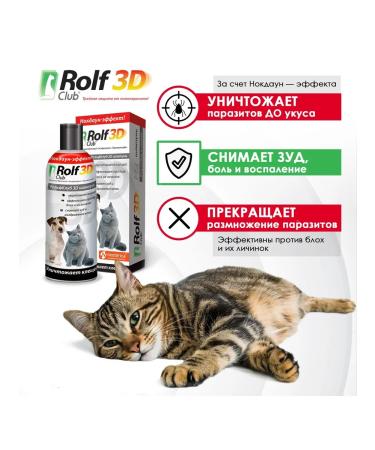 Neoterica Sluming shampoo for cats and dogs 200 ml - Buy Online on GoSupps.com